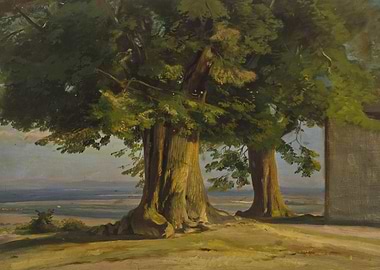 Old trees and a view of a wide plain