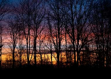 Silhouette Trees Against Colorful Sunset Sky