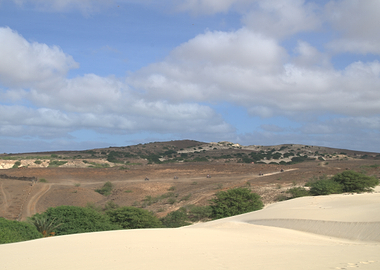 Desert Landscape with ATV Riders