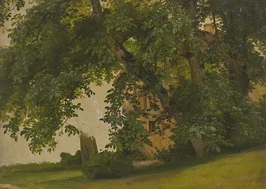 House behind trees