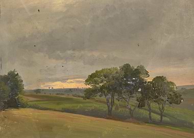 Evening meadow with trees