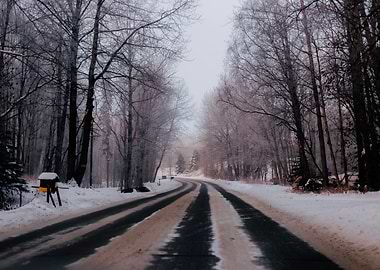 Winter Road