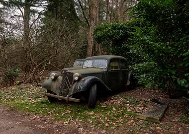 Abandoned Vintage Car in Forest Setting