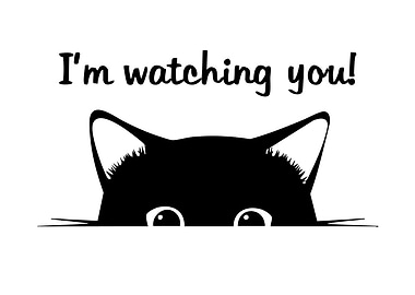 I'm watching you cat