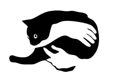 Cat and Hands Optical Illusion