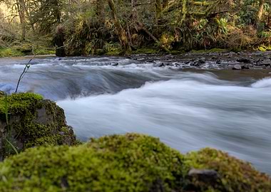 River Flowing Through Mossy Forest