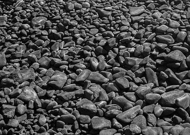Creek Bed in Black and White