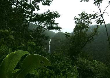 'Akaka Falls