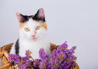 Calico cat in basket with flowers
