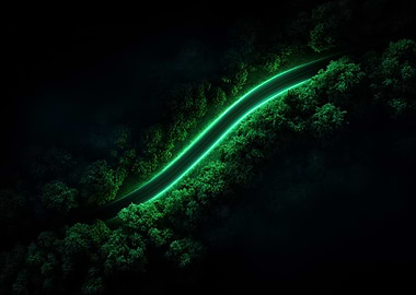 Neon Green Road Through Forest