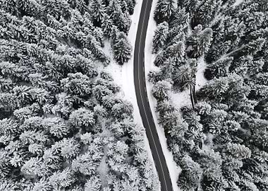 Snowy Forest Road Aerial View