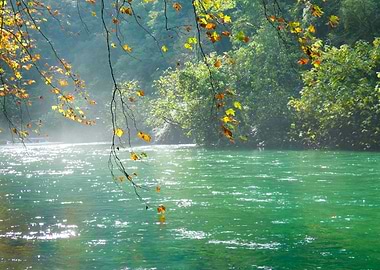 Photography of Autumn leaves over a turquoise river at Fontaine de Vaucluse