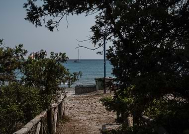 Beach Path View with Sailboat