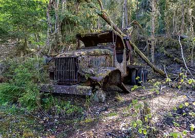 Abandoned Truck in Forest
