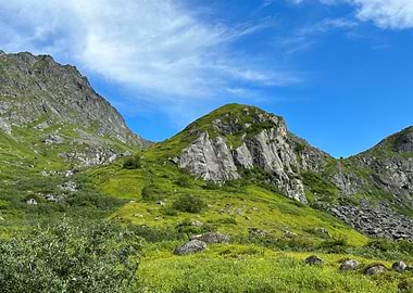 Lush Mountain Landscape with Blue Alaska Sky