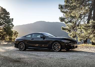 Black BMW Coupe in Nature Setting
