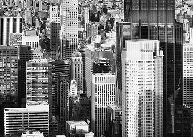 Dense Urban Architecture