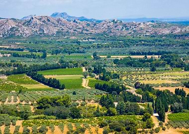 Photography of Scenic Vineyard Landscape with Distant Alpilles Mountains
