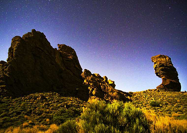 Roque Cinchado Stars