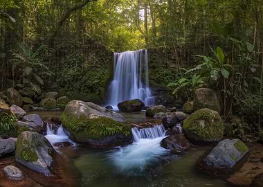 Waterfall in Lush Green Forest