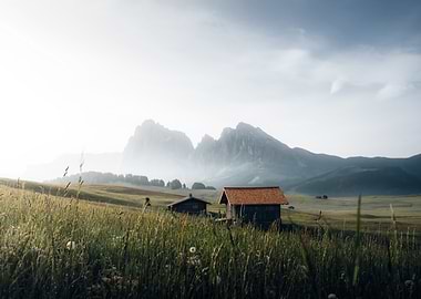 Alpine Meadow with Cabins and Mountains