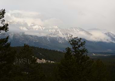 Snowy Mountains and Forest Landscape