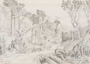Pencil Sketch of a Forest Landscape