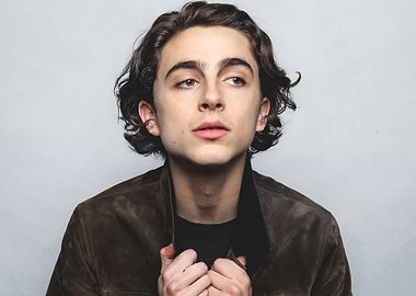 Timothée Chalamet Portrait