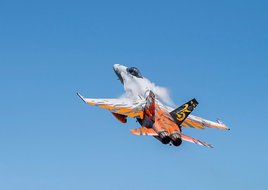 EF-18A Ala 15 – Tiger Meet 2016