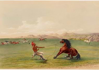 Native American Horse Taming Scene