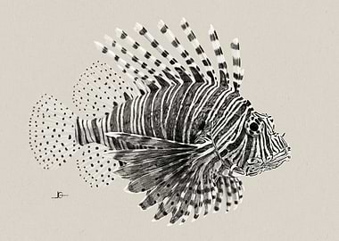 Lionfish Illustration