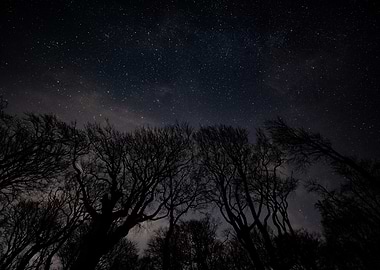 Starry Night Sky at Gespensterwald