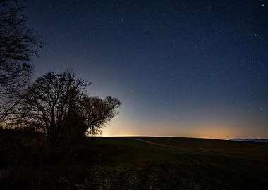 Starry Night Landscape with Trees