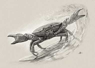 Crab Surfing Wave Pencil Drawing