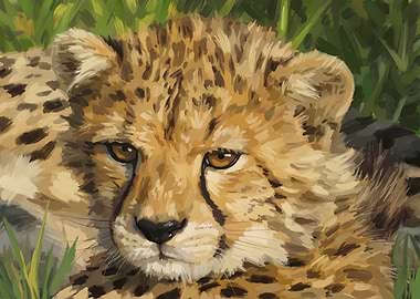 Cheetah Cub Portrait in Grass