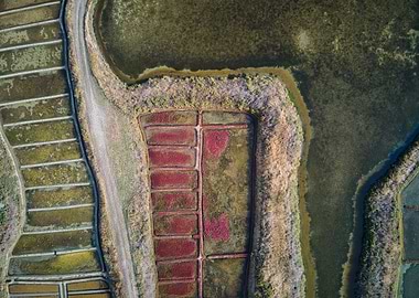 Aerial View of Farmland and Waterways