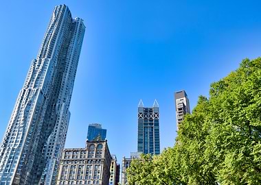 New York City Skyscrapers and Trees