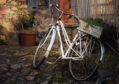 Vintage Bicycle with Flower Box