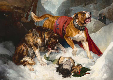 Alpine Mastiffs Reanimating a Distressed Traveler
