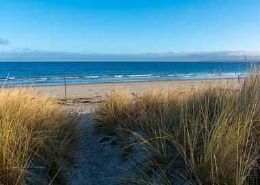 Glowe Beach scene with dune grass