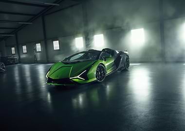 Green Lamborghini Sian Roadster in Garage