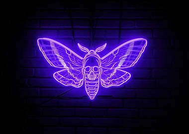 Neon Death's-head Hawkmoth