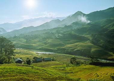Lush Green Rice Terraces Landscape