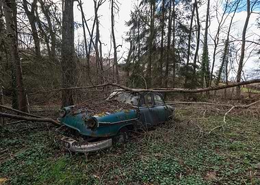 a Panhard PL17B vehicle abandoned in an invaded forest