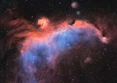 The Seagull Nebula