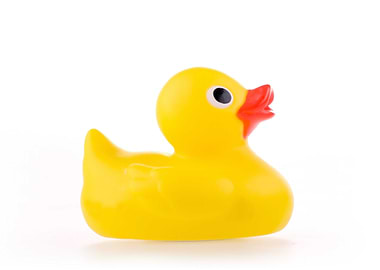 Yellow Rubber Duck Toy
