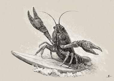 Surfing Crayfish Pencil Drawing