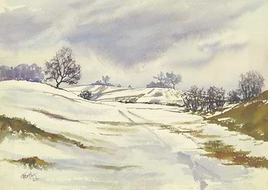Wintery landscape