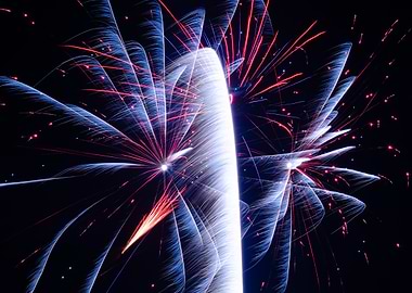 Fireworks Display Against Dark Sky