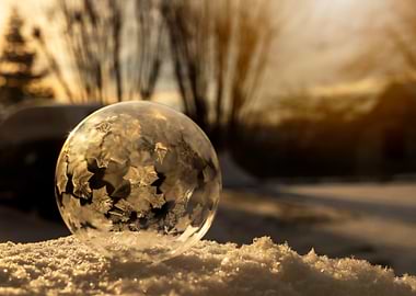 Frozen Bubble with Star-Shaped Ice Crystals